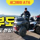 카맥스센터 이미지