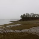 남산공원오토캠핑장 이미지