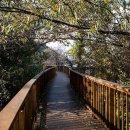 삼기저수지 등잔길 이미지