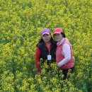 진달래횟집 이미지