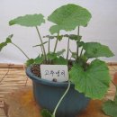 푸르뫼농장 이미지