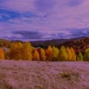 늘푸른산장 이미지