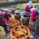 속리산숲체험휴양마을 이미지