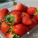 상명농장 이미지