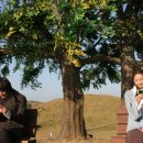 아름다움 이미지