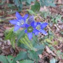 우산공원2 이미지