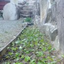 청호제하늘 이미지