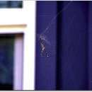 황토구들펜션 이미지