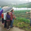 시정농장 이미지