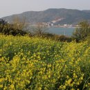 늑도마을회관 이미지