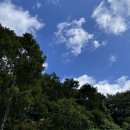 광양사슴농장 이미지