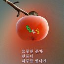 다루