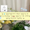 이목화 | 울산구영리 꽃집추천-이목화