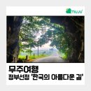 라제통문벚꽃길 이미지