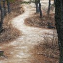 남부순환도로 이미지