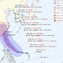 25일까지 '물폭탄'…제5호 태풍 '독수리' 북상 예의주시 이미지