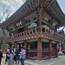 둠바둠바 | 통도사 벚꽃 아직? 봄 꽃 구경 실패했지만 우담바라 발견 후기｜개화시기·우담바라 위치