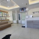 안동동물의료센터 이미지