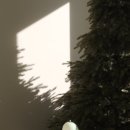 빛나는 사랑 | 작아도 밝게 빛나는 사랑스러운 열매 - 루미르 Lumir 열매 포터블 램프 미니