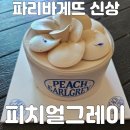 파리바게뜨수원매교역점 | 파리바게뜨 신상 케이크 피치얼그레이케이크 후기