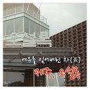 [제주도 여행] 오설록, 차밭을 바라보며 녹차를 즐기다.