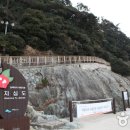 지심도 이미지