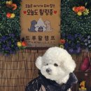 울타리천국 이미지