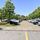 영산강대상공원1 이미지