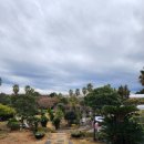 제주 자르뎅 이미지