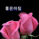 행복한하루 이미지