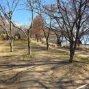 선암농장 | 호수를 보며 강아지 산책 하기 좋은 [울산 선암호수공원] 랑이뽀기 애견동반 후기
