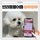 바우와우 | 필수 반려동물어플 바우와우를 알아보자(강아지말 번역기)