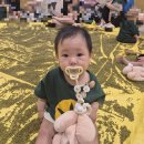 애기똥풀 | 이마트 문센 '애기똥풀' 후기