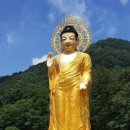 중생의 근성: 큰스님 이미지