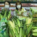 초당유통