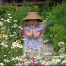 그린토피아 이미지