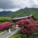 표충사2 이미지