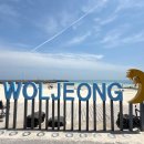 난비포장으로 | 제주도 동쪽 스노쿨링 명소 코난비치 근처 맛집 초밥공장, 폴로 수영복과 하와이안셔츠 빈티지샵 빈티지...