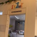 킨더그루밍 이미지