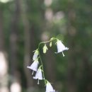 김용사 주차장 이미지