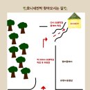 효니네