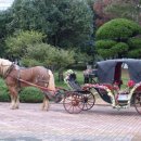 경마장가는길 이미지