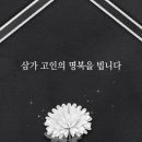 하나브이아이피