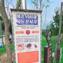 재인식당 | 연천 가볼한 곳 |재인폭포| 주차, 셔틀버스, 탐방로, 푸드트럭