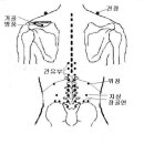 육체의 風, 寒, 署, 濕, 燥, 火와 병리... 이미지