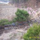 가성농장 이미지