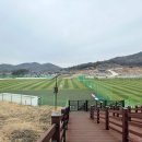 김태영축구장 이미지