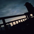 송이마당1198 이미지