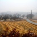 안계1 Daum카페