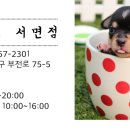 레푸스서면점 이미지